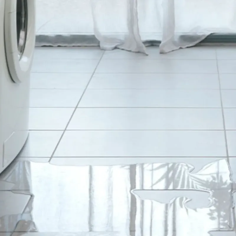Appliance Leak Cleanup in Belmont, NH