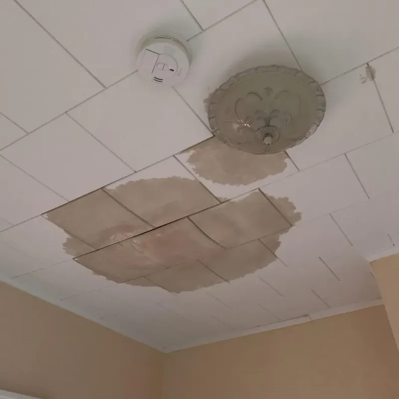 Ceiling Water Damage Repair in Belmont, NH