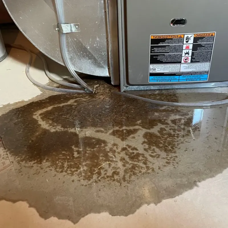 Pipe Burst and Leak Restoration in Belmont, NH