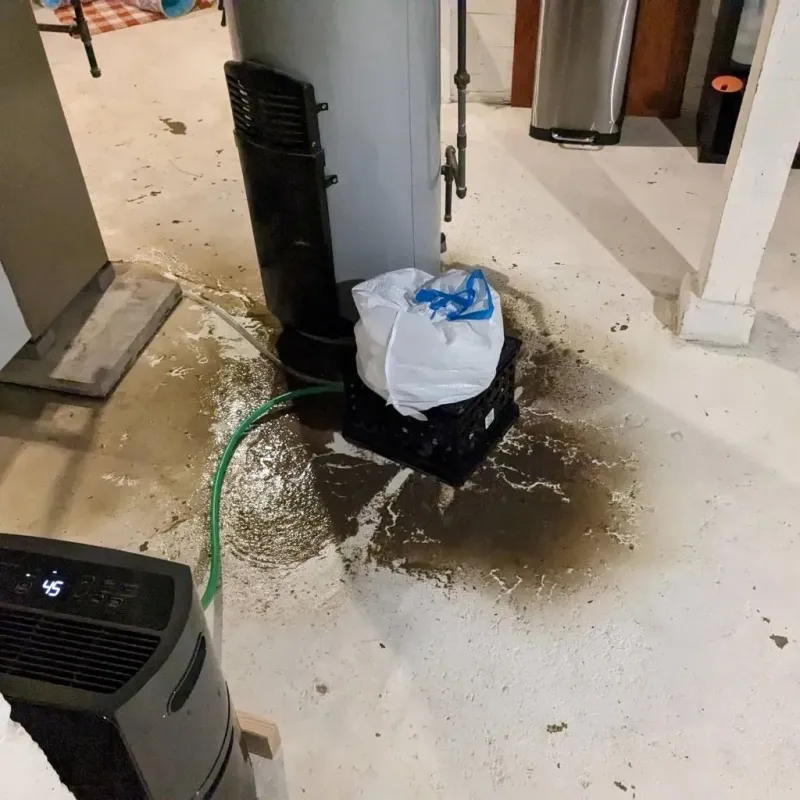 Sewage Backup Cleanup Service in Belmont, NH